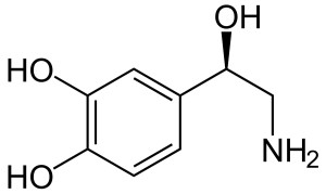 去甲肾上腺素