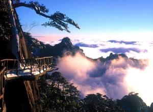 江郎山风光、植物