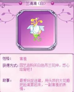 花精灵
