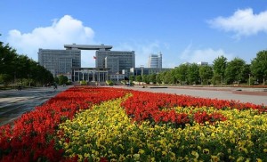 花团锦簇