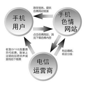 黄色网站