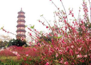 广州番禺莲花山风景照