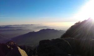 泰山