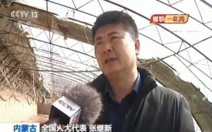 张继新 _ 百科