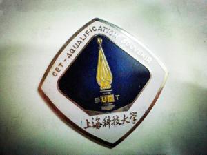 上海科技大学CET-4徽章