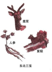 东北三宝