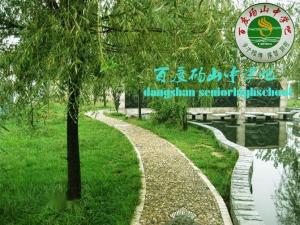 砀山中学风景