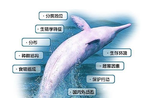 动物分类学 搜狗百科 动物分类学 搜狗百科