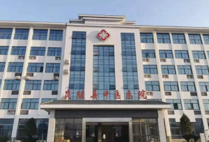 炎陵县中医医院