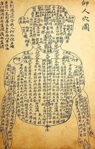 穴位图