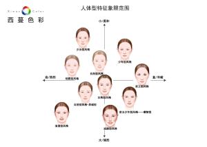 各季型人人体特征象限图