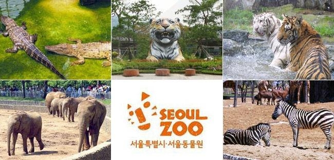 世界最大动物园门票 0