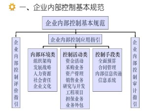 企业内部控制基本规范