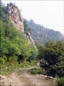 山间小路