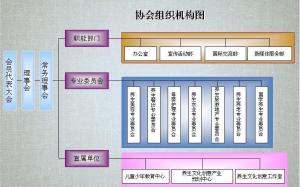 北京养生文化创意产业协会组织机构图