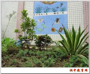 澜石中学
