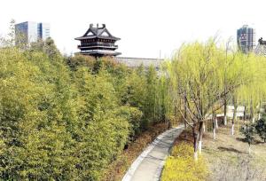 亭湖新区旅游景点高清大图