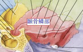 内面