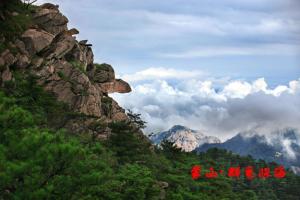 蒙山 群龟探海
