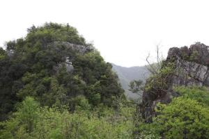 茨河
