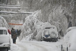 雪灾