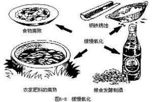 缓慢氧化图册