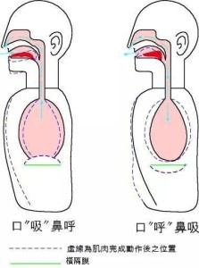 腹式呼吸法