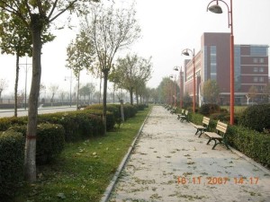 河北大学工商学院