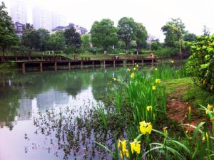长沙月湖公园