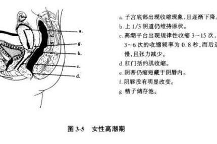 生理反应 受外界刺激引起的一种紧张状态 搜狗百科