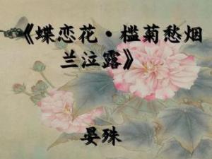 蝶恋花·槛菊愁烟兰泣露