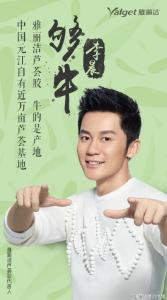 雅丽洁图册
