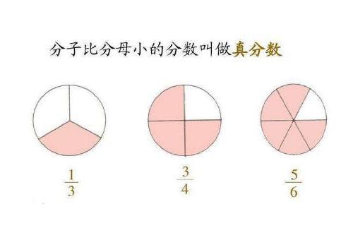 真分数 分子比分母小的分数 搜狗百科