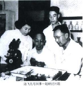 汤飞凡