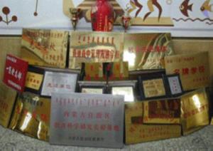 学校荣誉