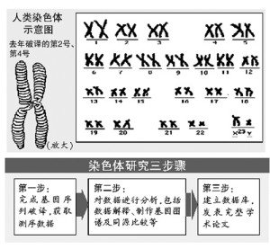 人类基因组计划