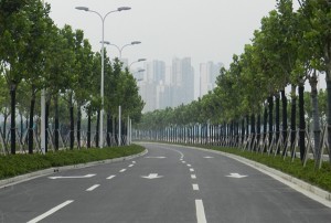 道路中心线是什么样子图片