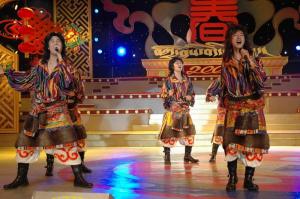 出席各种表演