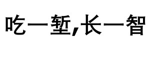 吃一堑长一智