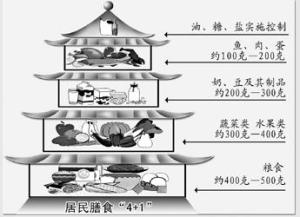 膳食结构 金字塔