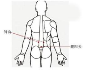腰阳关穴