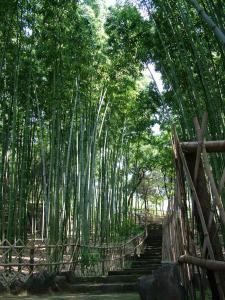 马陵山风景名胜区