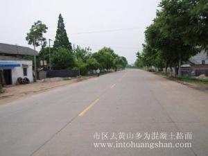 杨础镇