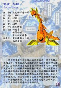 海飞龙加隆
