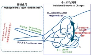 DISC 个人应用