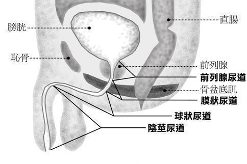 尿道炎症状 搜狗百科