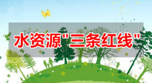 三条红线