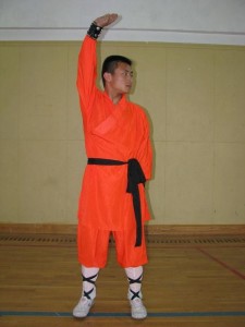 洪拳 鹤拳