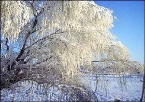 二龙湖