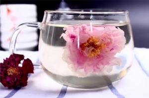 平阴玫瑰花茶
